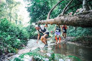 BIB: 
                            <button type="button" onclick="openModal(25439008)" class="btn btn-primary btn-sm float-right btn-popup" data-toggle="modal" data-target=".modal-high-quality">
                        <i class="fas fa-shopping-cart"></i> Add to Cart
                    </button>
                                            <button type="button" onclick="isThisMe(25439008, true)" class="btn btn-success btn-sm float-right btn-popup btn-isme hidden" data-toggle="tooltip" data-placement="bottom" title="นี่คือรูปของคุณใช่ไหม คลิกที่นี่เพื่อเอาเข้าอัลบั้ม">
                        <i class="fas fa-plus"></i> Add to album
                    </button>
                    <button type="button" onclick="isThisMe(25439008, false)" class="btn btn-warning btn-sm float-right btn-popup btn-isnotme hidden">
                        <i class="fas fa-ban"></i> Remove from album
                    </button>